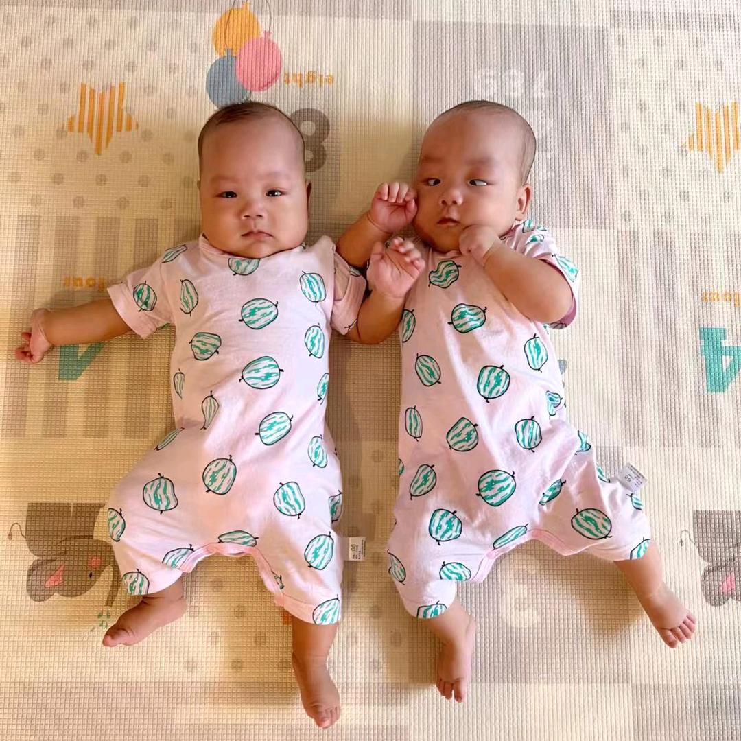 D宝‖胖豆‖生活记