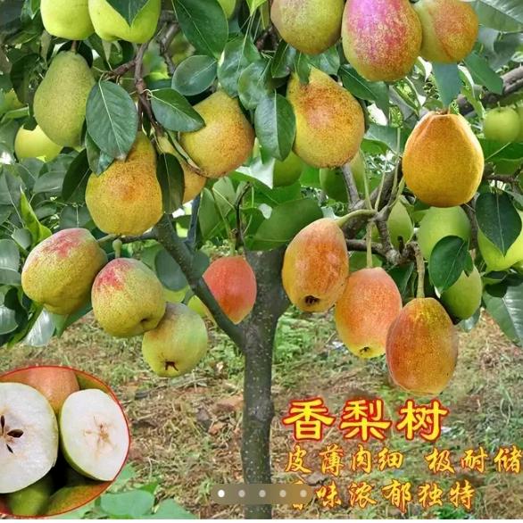 我是农民