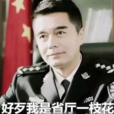 如期而至_辉