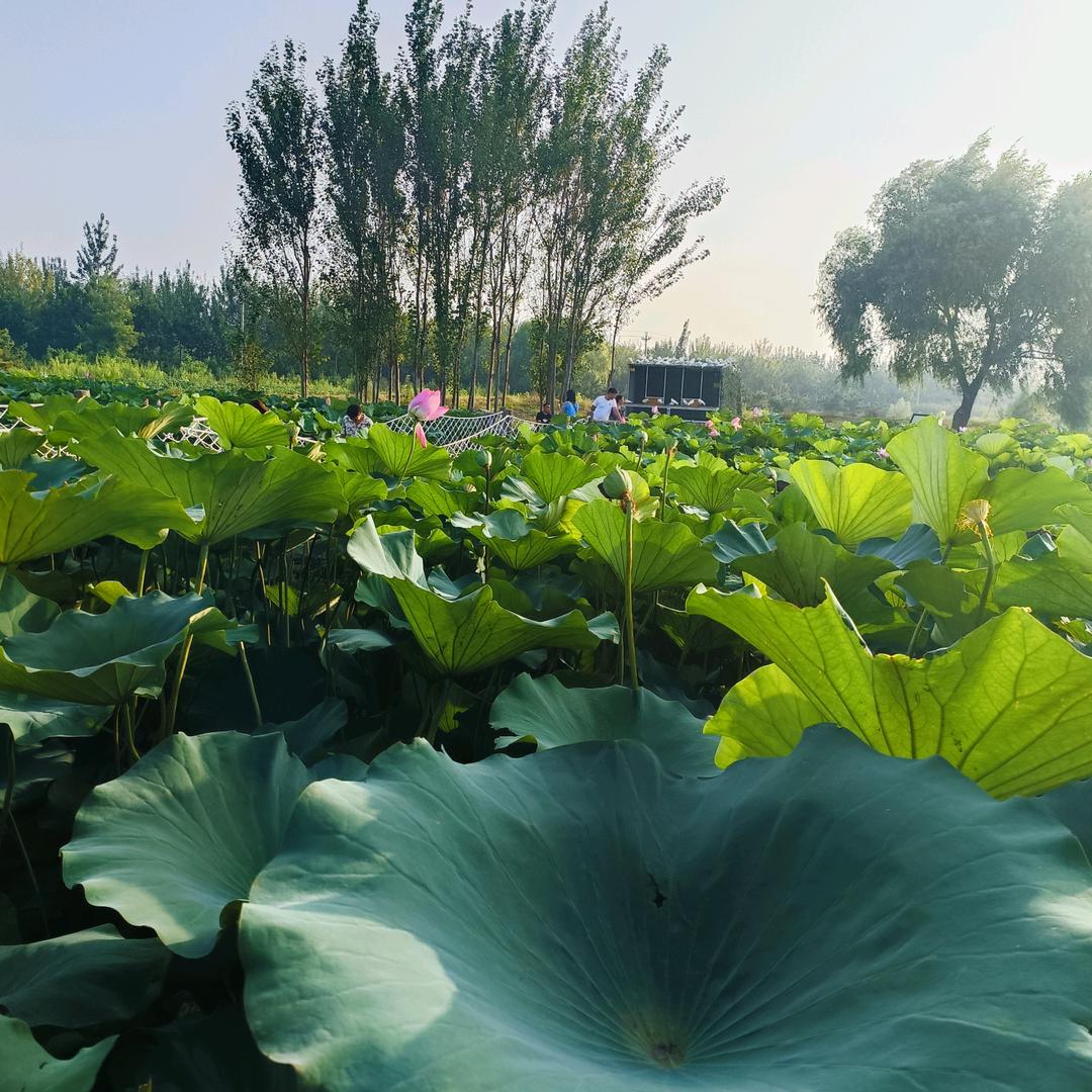 风声水起