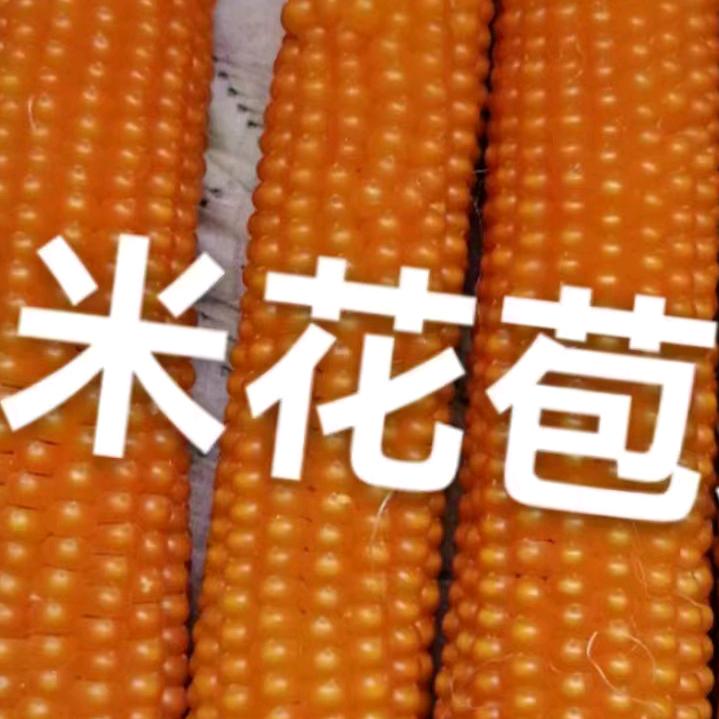 免费帮引流，帮发促销打折视频，佳木斯