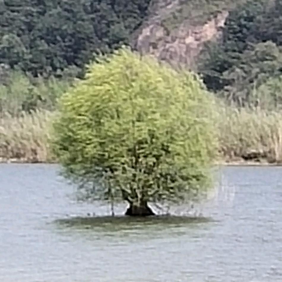 波依安边