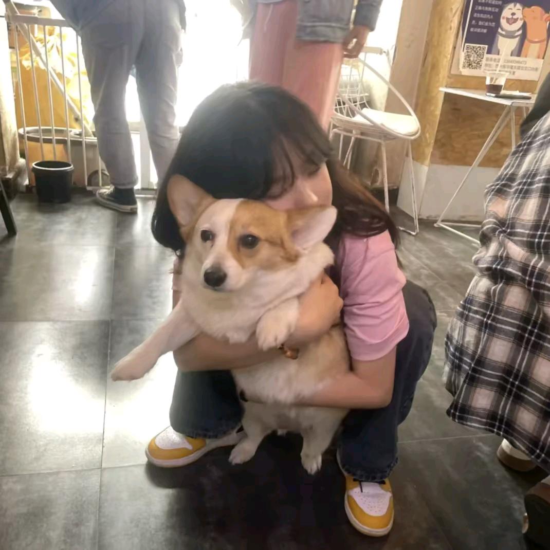 爱吃玉米