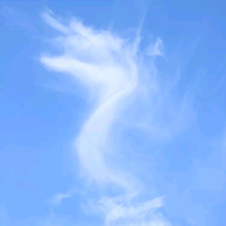 尕尔尕