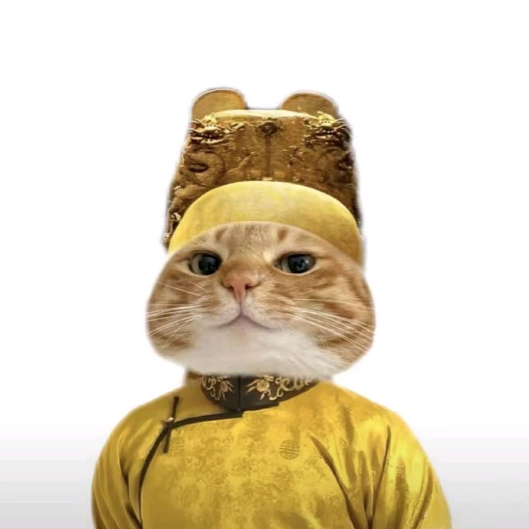 诶嘿嘿嘿🥇