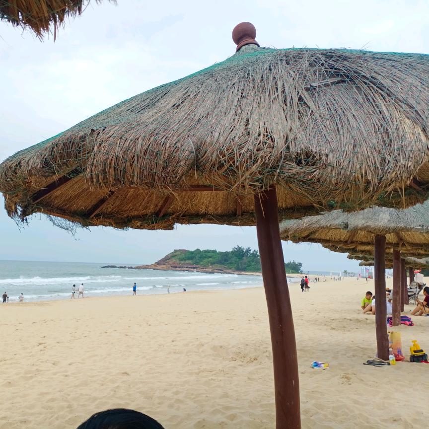 花香蝴蝶自然来