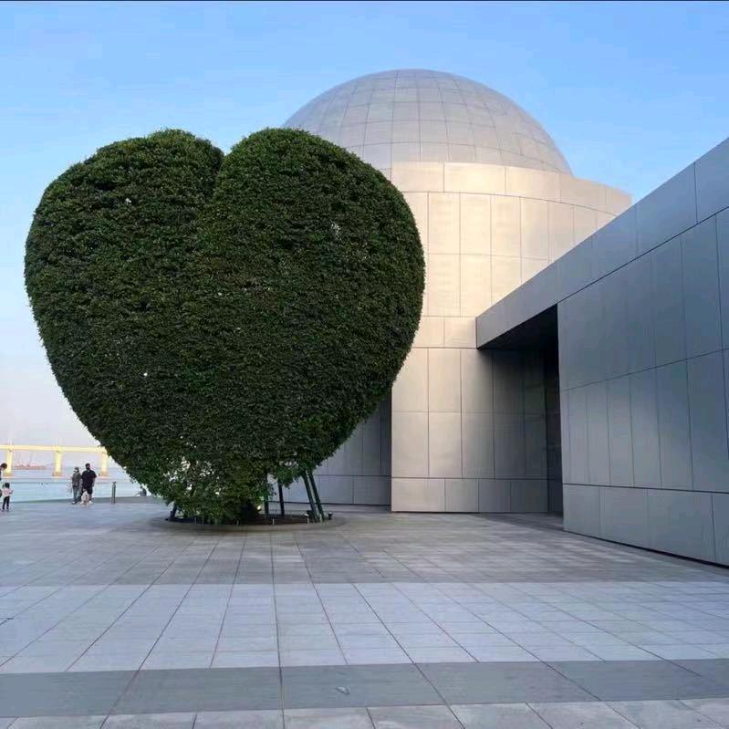 职业教培～陈老师