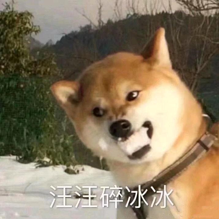 橙🍊🍊