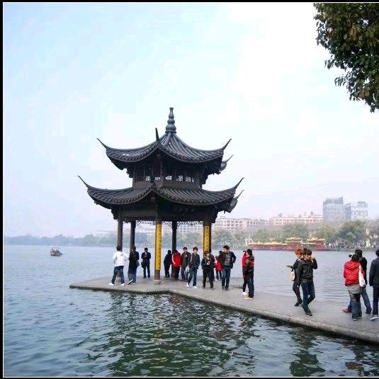 凤栖梧桐，君子不立危墙之下