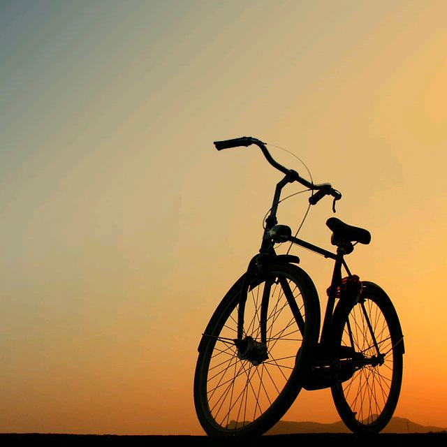 那年夏天你的发香