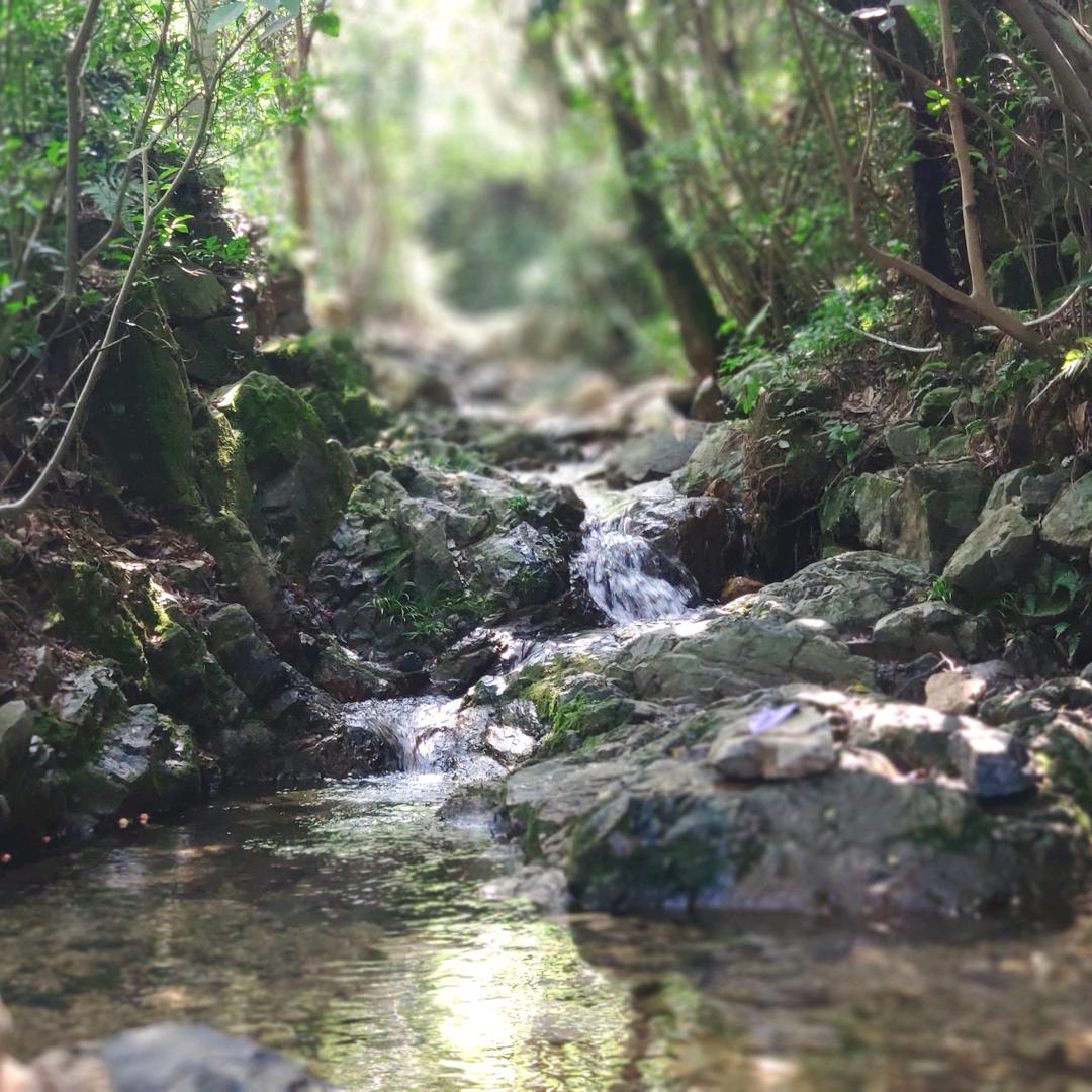 一名旅居的主持人   晓风