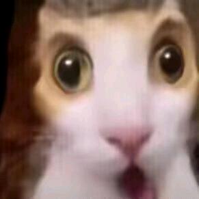 扶蟑螂过马路:)