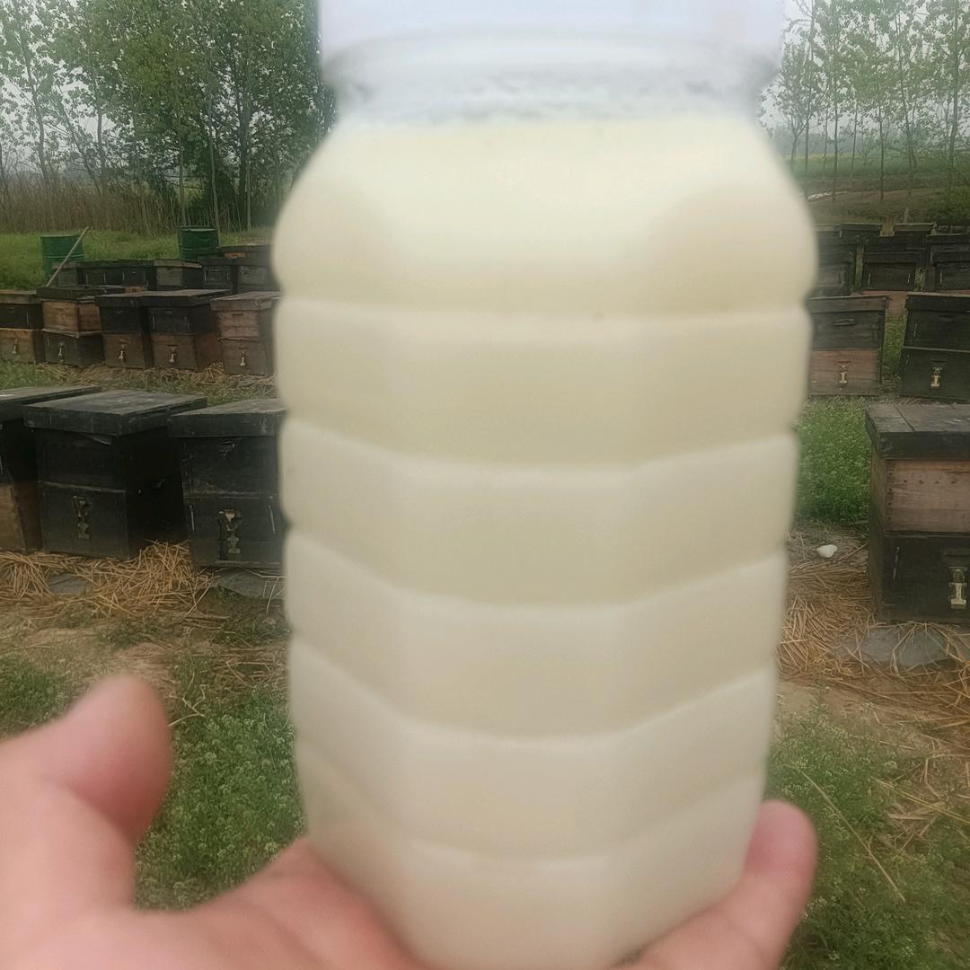 蜂行天下，蜜进万家。
