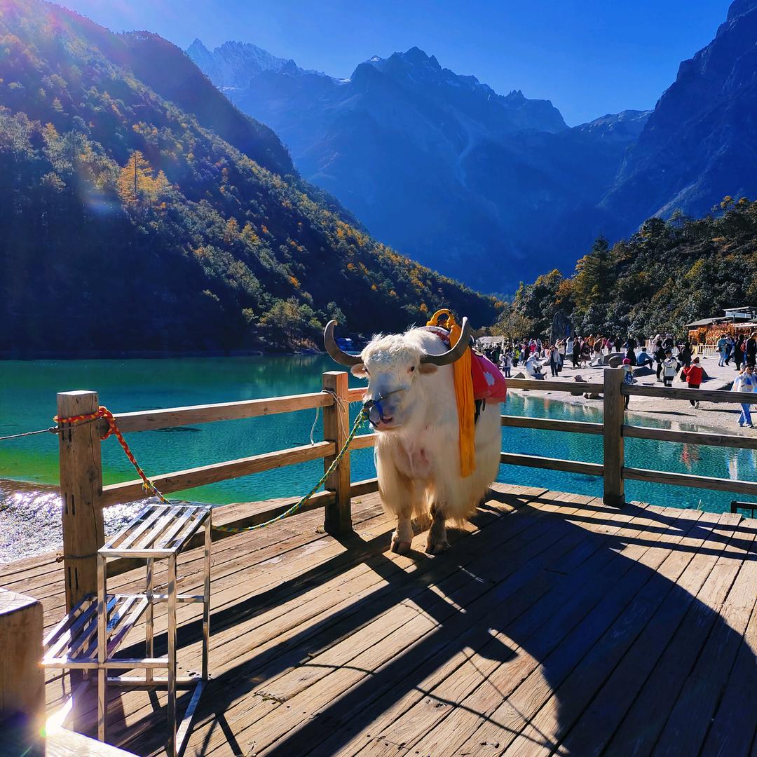 夏夏韩式小店2号店