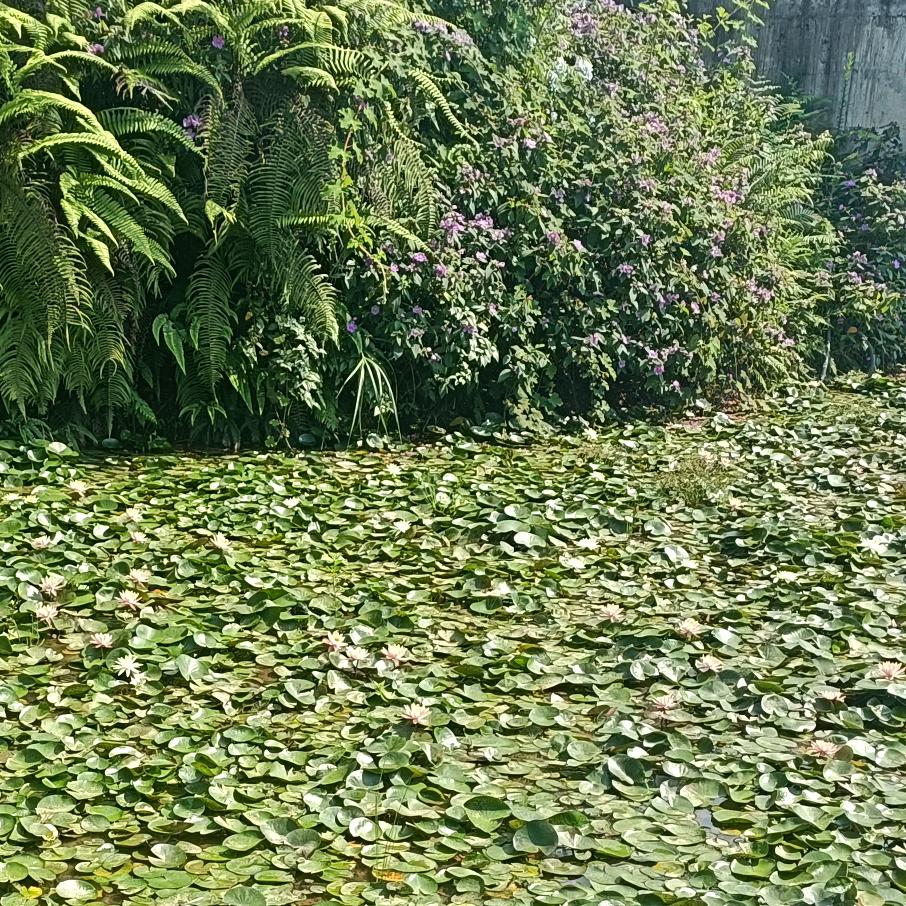 百心为您δ♥