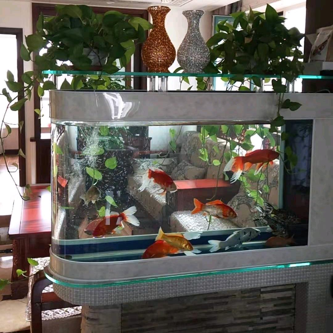 大橙子