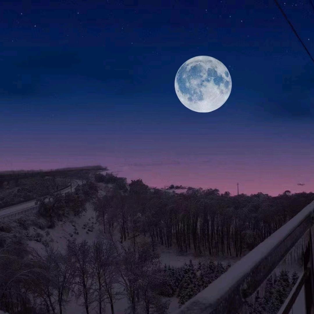 抖音经典评论员