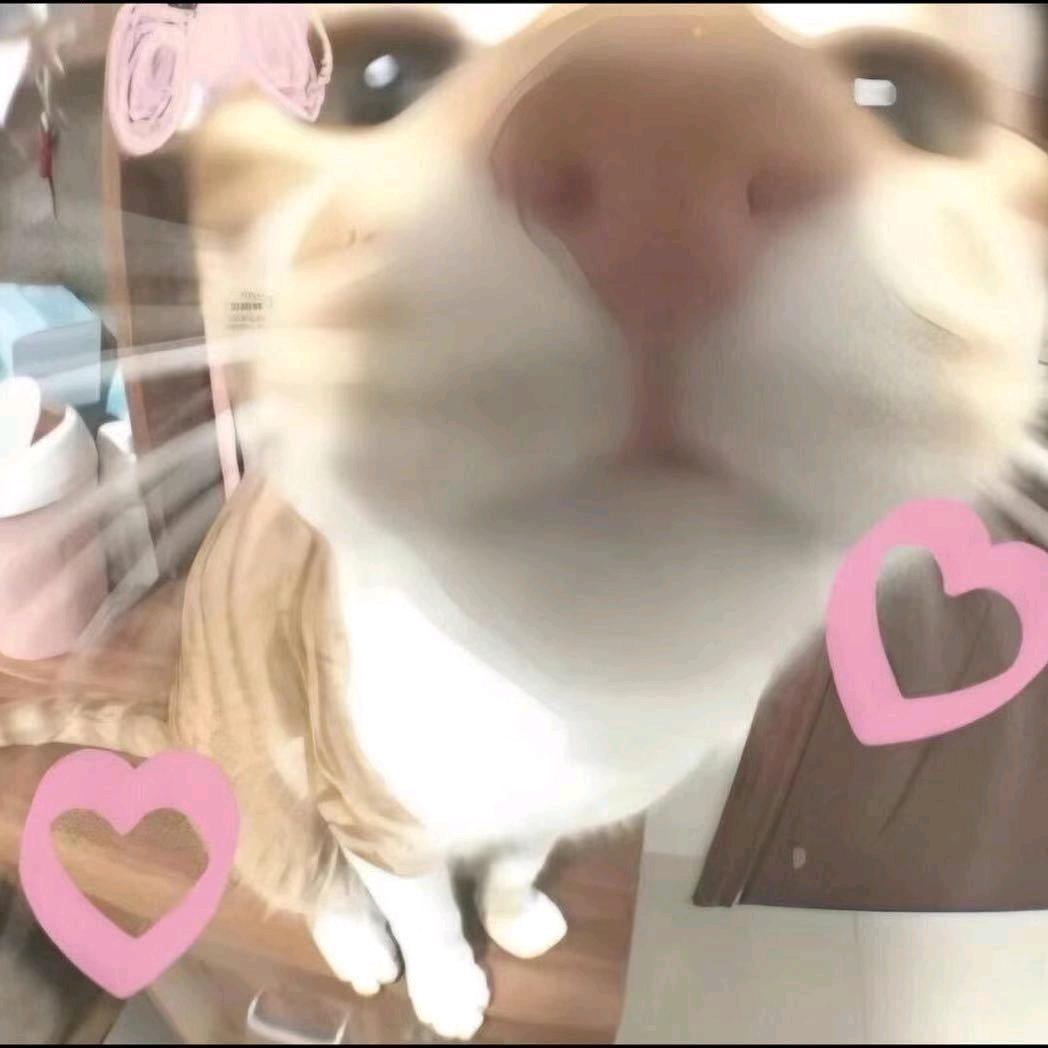 帆帆啃脚