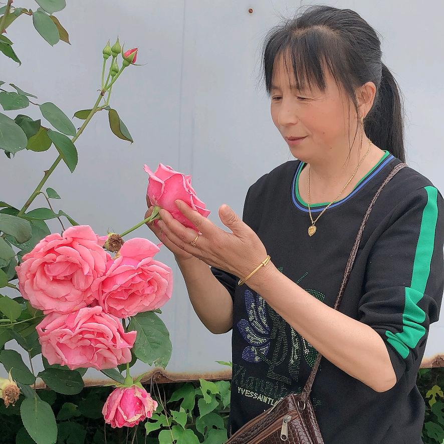 淡淡一生