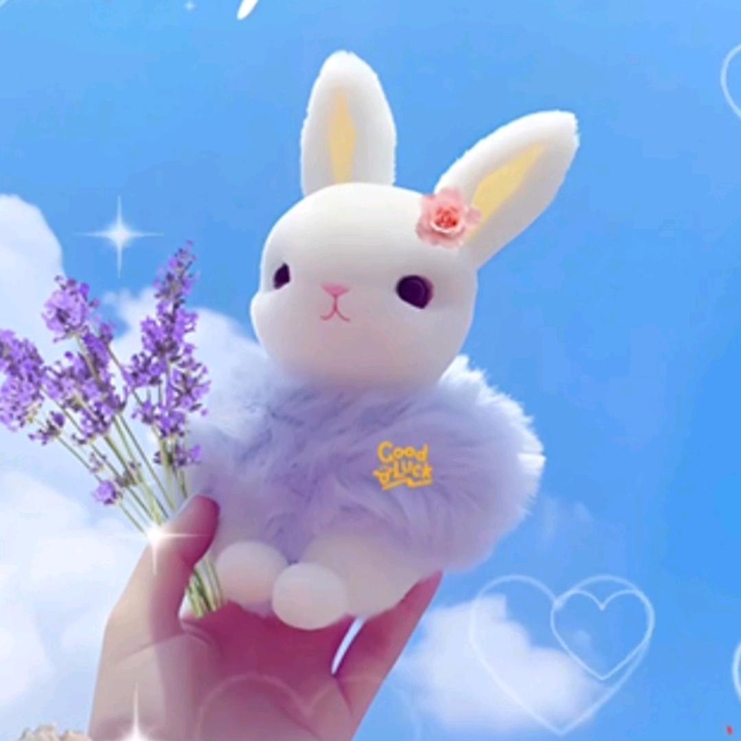 ☀️长乐兔🌙 ⁹⁸⁵