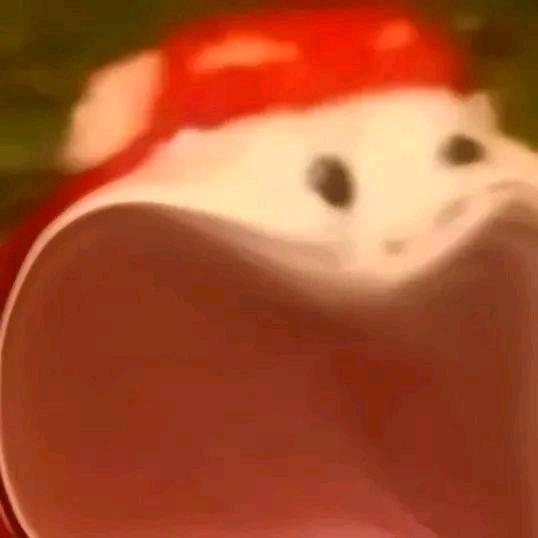 追追bon