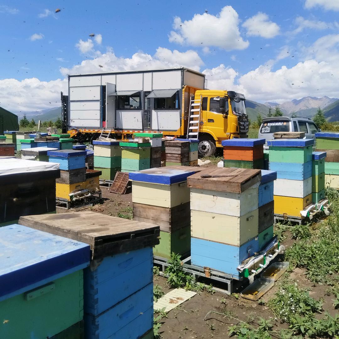 小蜜蜂～大货车改房车