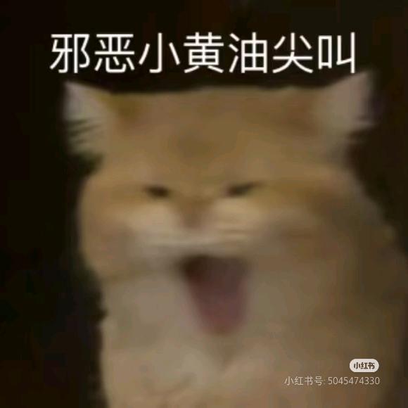 苏木