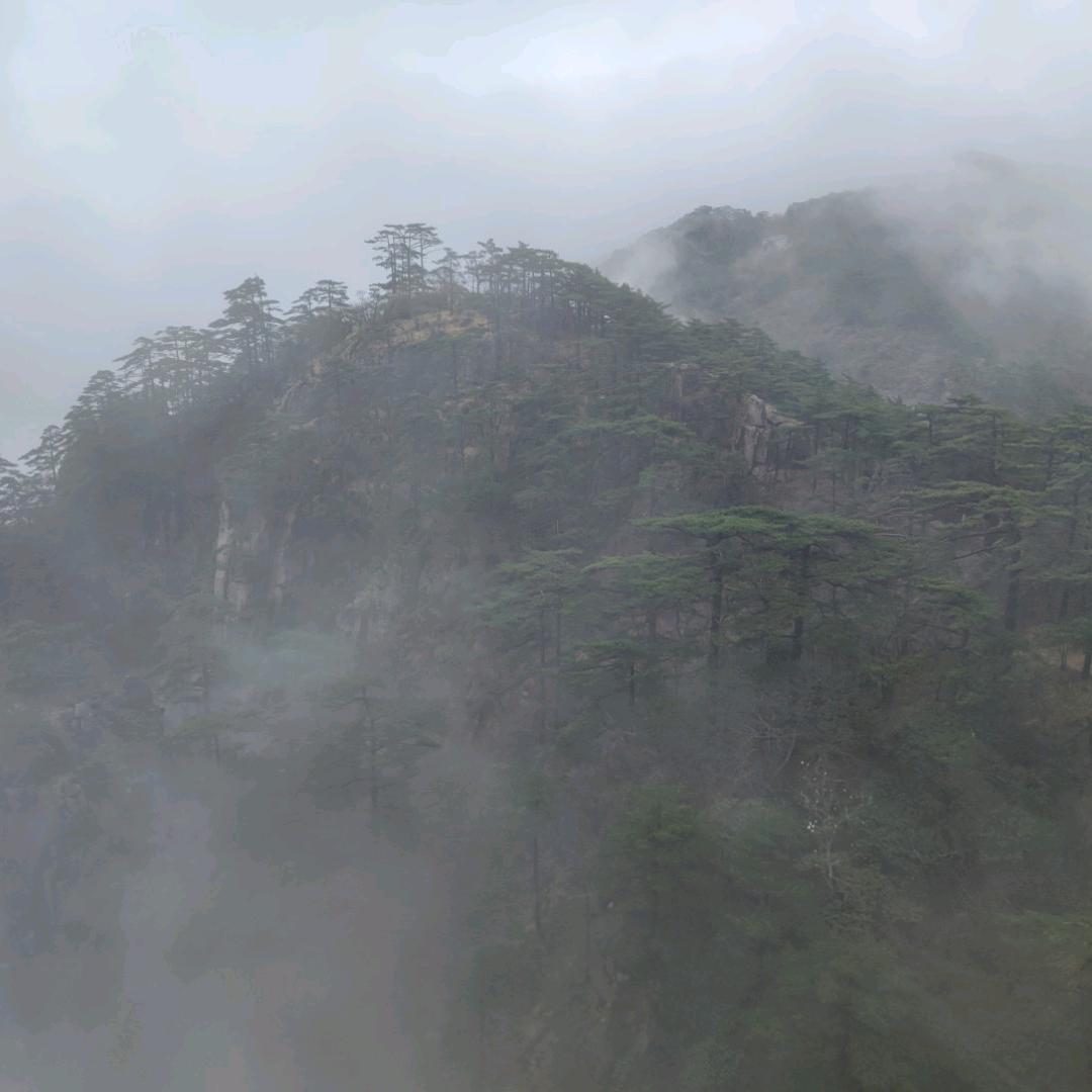申庭锤子老师职测课堂