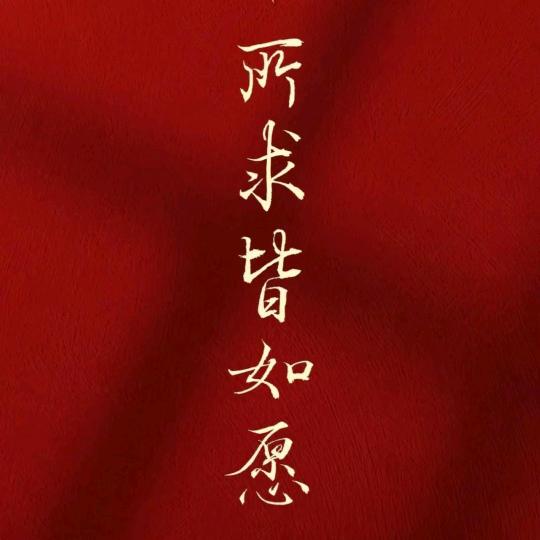 炮家军523
