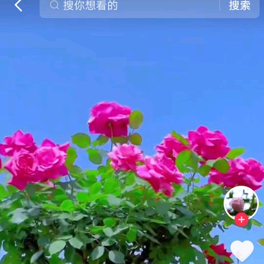 果粒陈(ง •̀_•́)