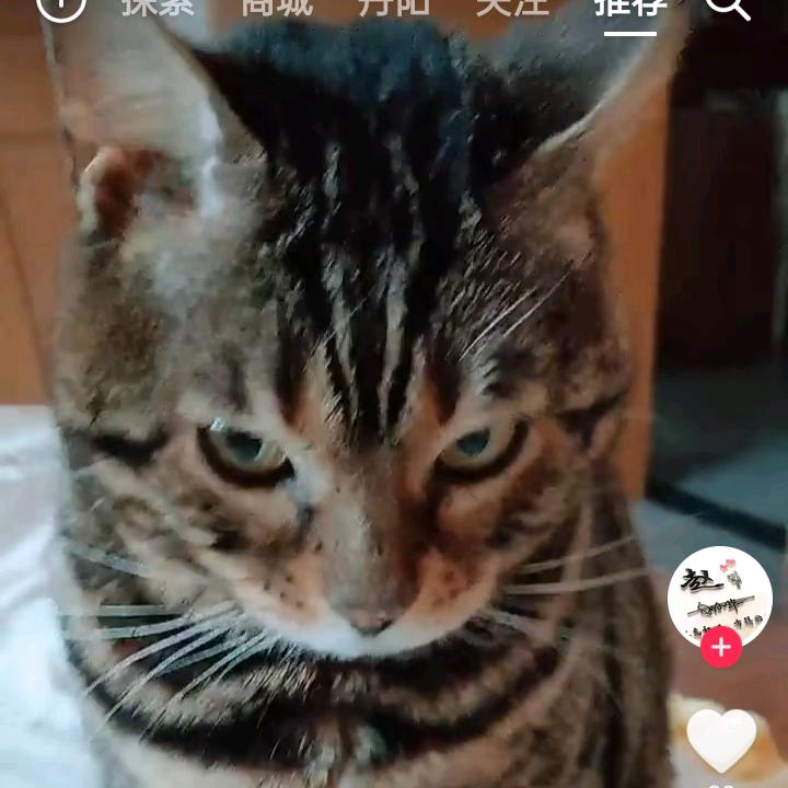平平安安