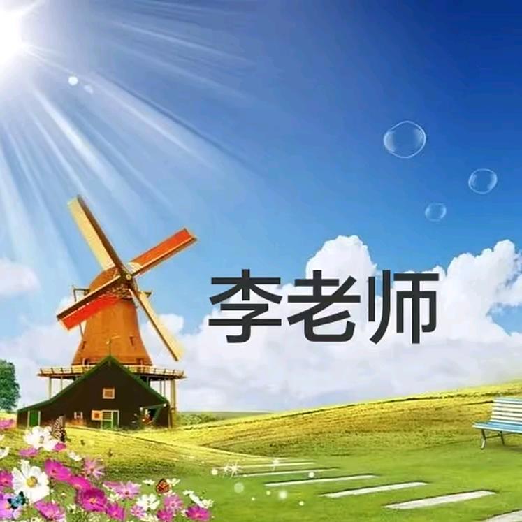 小学数学李老师