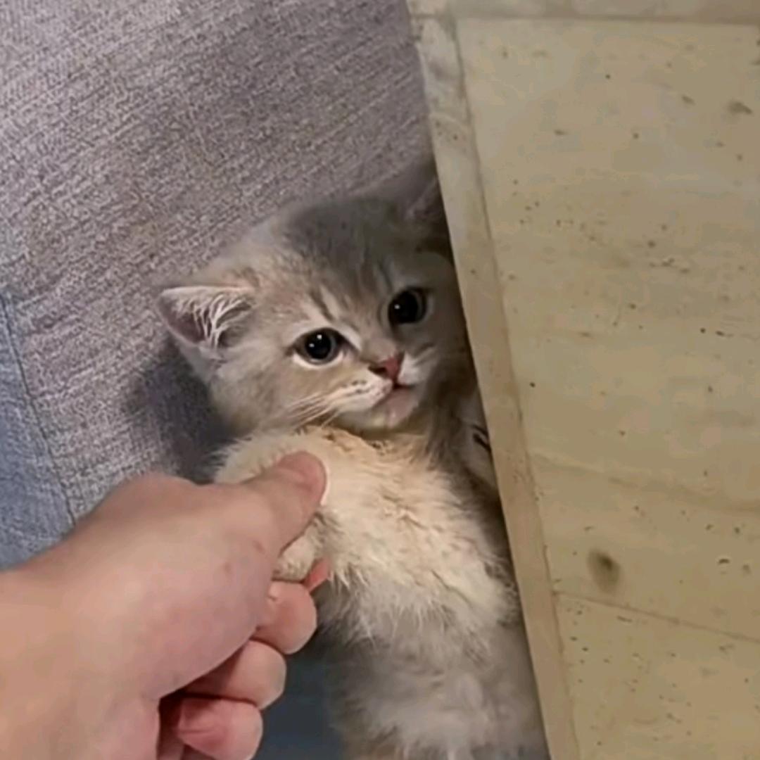 炸缸了
