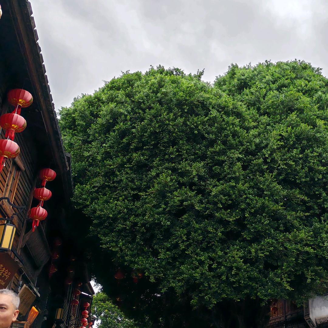 时间的尘埃