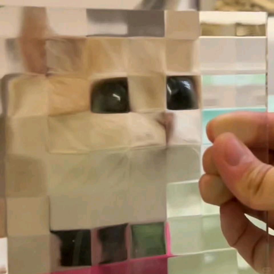 AAA精神健康和钓鱼中心张主任