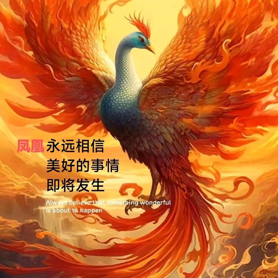 鱼峰山🔥凤凰🔥