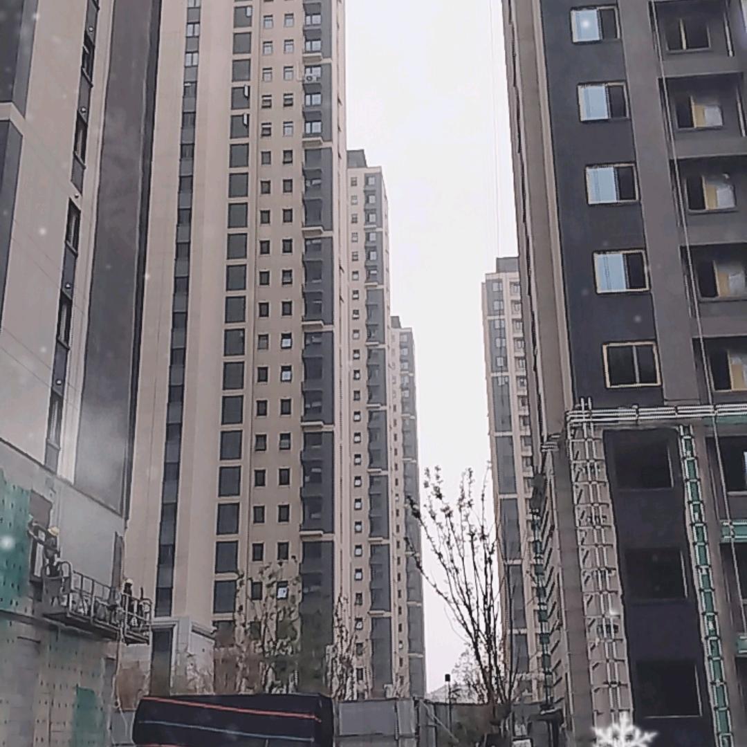 一个人单身