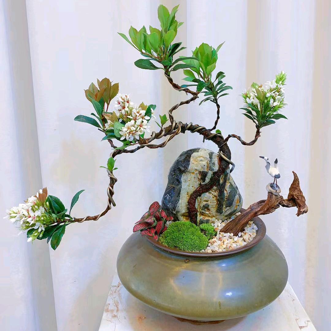 九湖老许