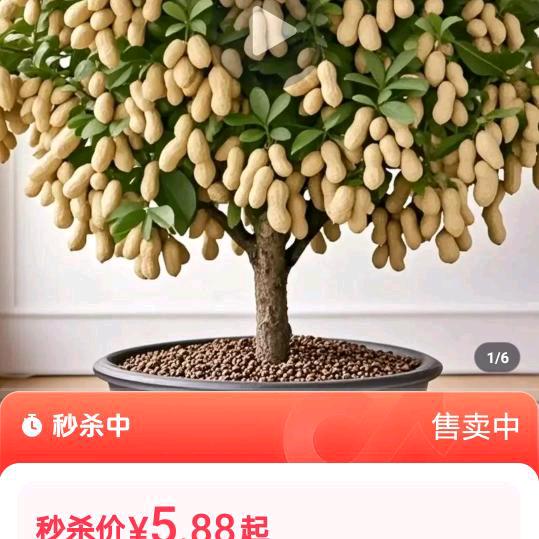 陈姐