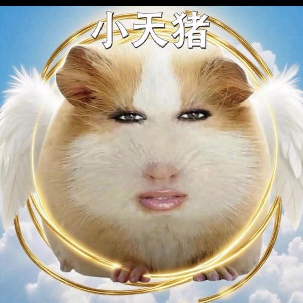 Aaaa建材市场瑶总🥨