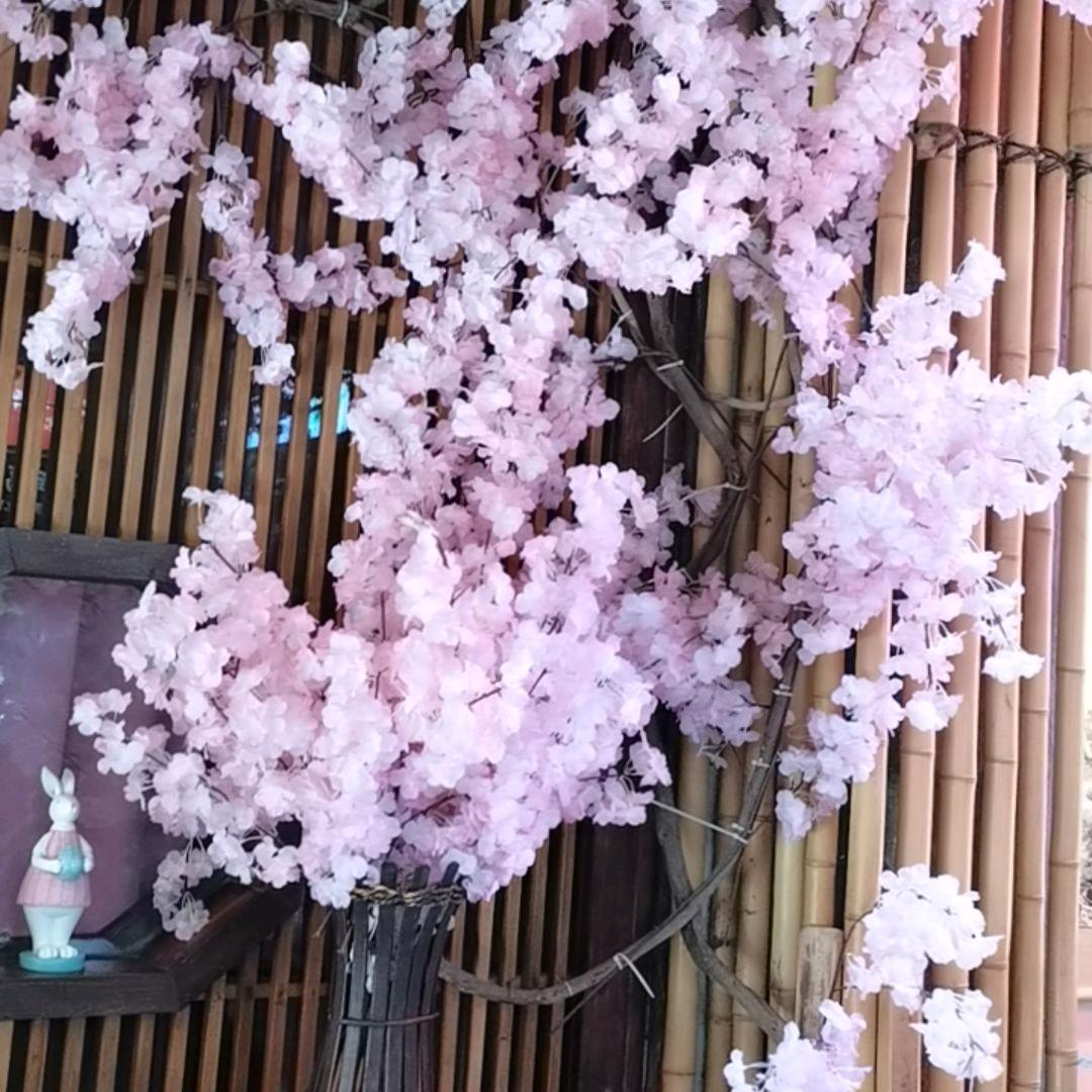 小胭脂（爱唱歌）