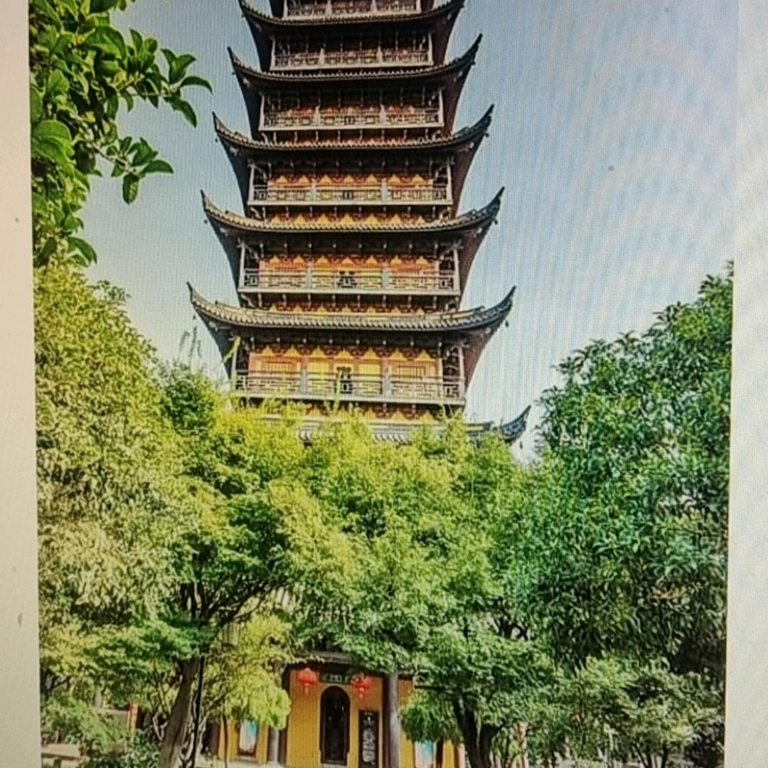 缇壶师傅