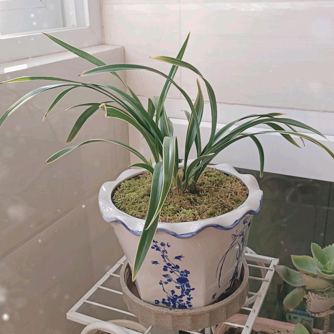 用户6493873144572今生有缘