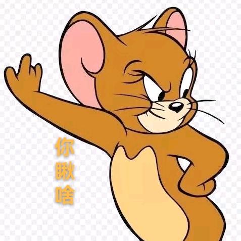 亲吻猫咪的老鼠