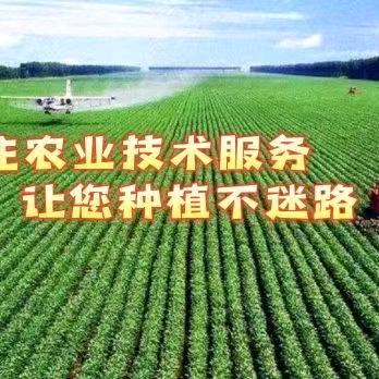 植保大河农业