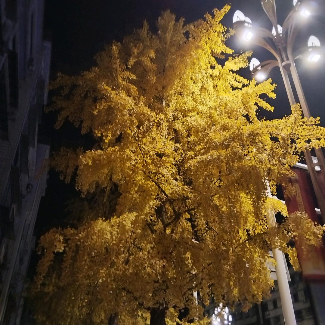 时来运转