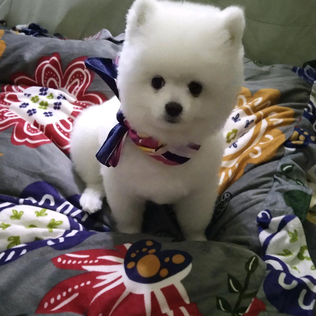 相信自己，相信自己