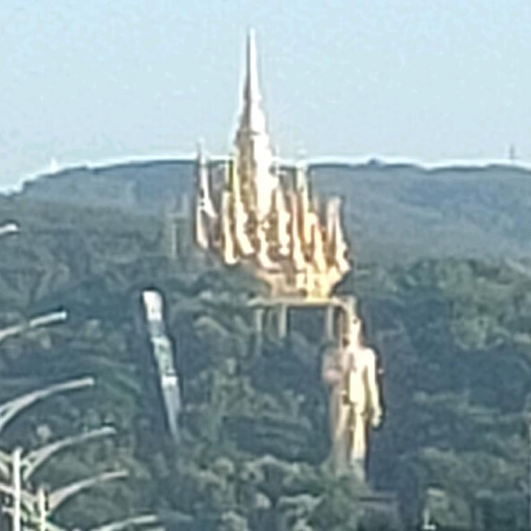 李老帅版纳生活