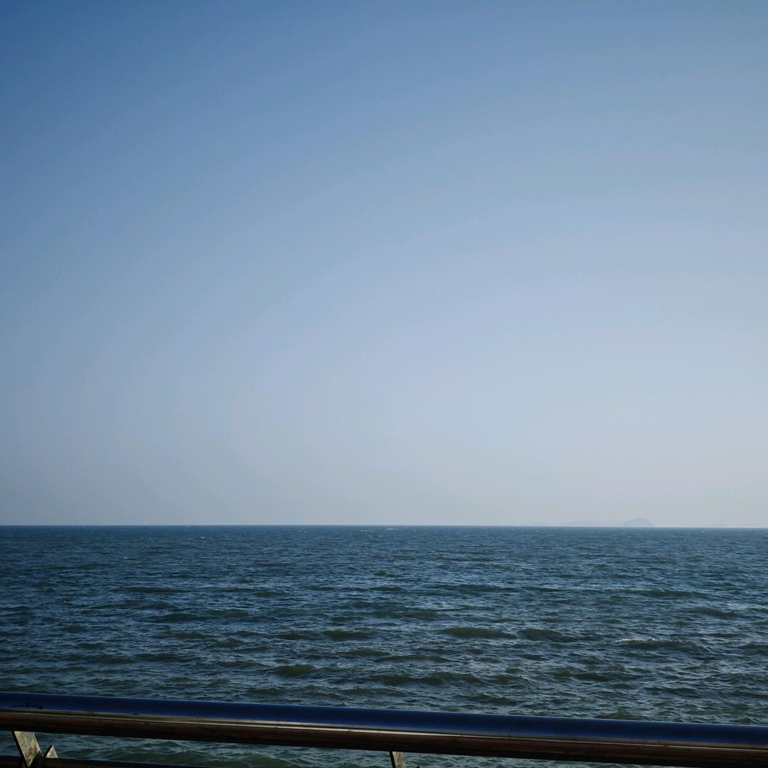 资深韭菜