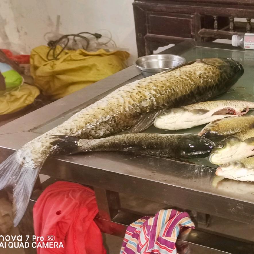 我心里有你知道吗